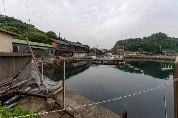 日本愛媛県青島猫のビュー — ストック写真