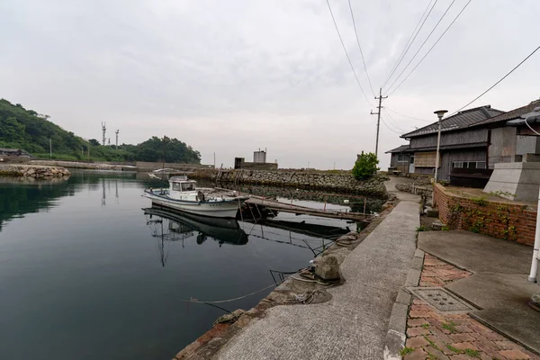 日本愛媛県青島猫のビュー — ストック写真