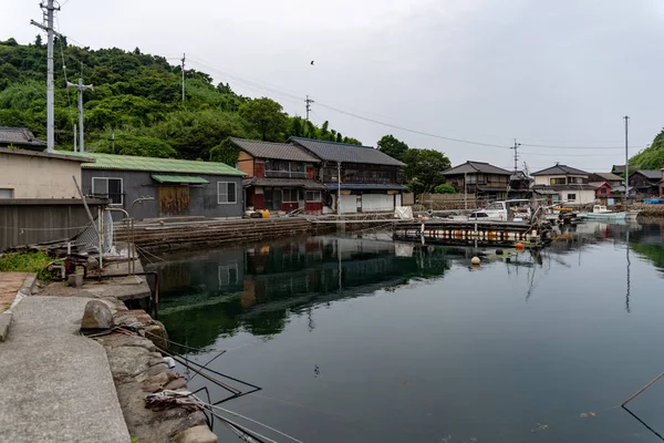 日本愛媛県青島猫のビュー — ストック写真