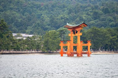 Torii Kapısı Miyajima Adası, Hatsukaichi City, Hiroşima-ken, Japonya sahillerinde yüzen 