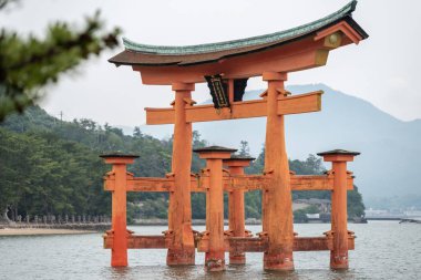 Torii Kapısı Miyajima Adası, Hatsukaichi City, Hiroşima-ken, Japonya sahillerinde yüzen 