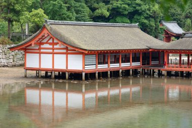 Miyajima, Japonya - 27 Haziran 2017: Itsukushima Jinja Miyajima içinde. Mevcut tapınak orta-16 yüzyıldan tarihleri ve 12. yüzyıldan önceki bir tasarım takip inanılan