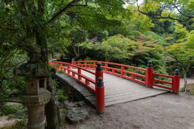 Orman Mount Misen, Miyajima Adası, Japonya. Mount Misen Itsukushima Hatsukaichi, Hiroşima, Japonya, içinde kutsal dağda ve 535 m, adanın en yüksek Dağı