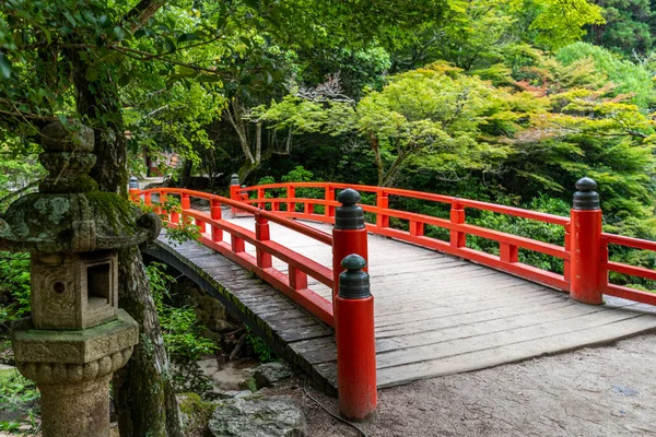 Skogen Vid Den Mount Misen Miyajima Island Japan Mount Misen — Stockfoto