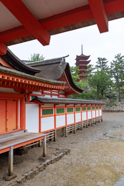 Miyajima Japão Junho 2017 Santuário Itsukushima Japão Santuário Itsukushima Santuário — Fotografia de Stock