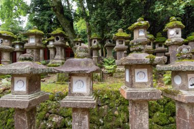 Antik taş monolitik lamba, Kasuka tapınak: Nara, Japan.