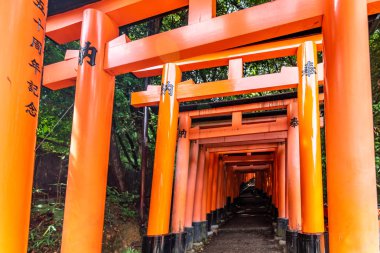 Japonya, Kyoto 'daki Fushimi Inari türbesindeki kırmızı Torii kapıları