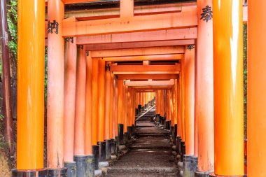 Japonya, Kyoto 'daki Fushimi Inari türbesindeki kırmızı Torii kapıları