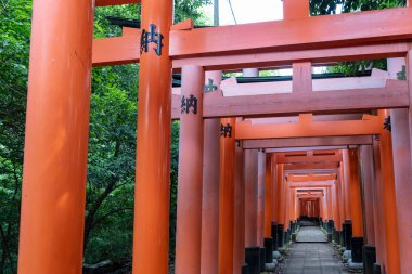 Japonya, Kyoto 'daki Fushimi Inari türbesindeki kırmızı Torii kapıları