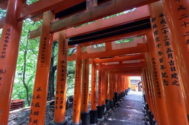 Japonya, Kyoto 'daki Fushimi Inari türbesindeki kırmızı Torii kapıları