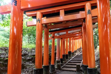 Japonya, Kyoto 'daki Fushimi Inari türbesindeki kırmızı Torii kapıları
