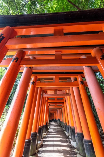 Röda Torii Portar Fushimi Enare Helgedom Kyoto Japan — Stockfoto