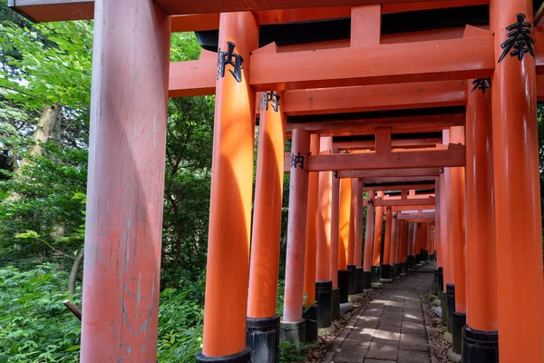 Red Torii Brány Fushimi Inari Svatyně Kjótu Japonsko — Stock fotografie