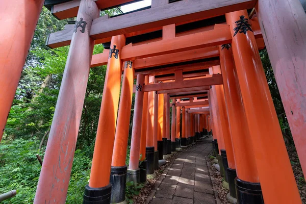 Portas Vermelhas Torii Santuário Fushimi Inari Kyoto Japão — Fotografia de Stock