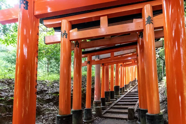 Portas Vermelhas Torii Santuário Fushimi Inari Kyoto Japão — Fotografia de Stock