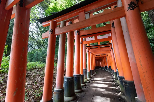 Ворота Червоних Торіїв Храмі Фушімі Інарі Кіото Японія — стокове фото