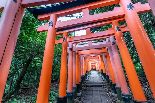 Portas Vermelhas Torii Santuário Fushimi Inari Kyoto Japão — Fotografia de Stock