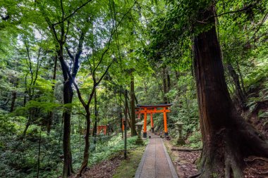 Torii gates de Fushimi Inari tapınak için görüntüleyin. : Kyoto, Japan bulunan meşhur mekanlar