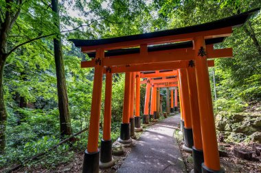 Torii gates de Fushimi Inari tapınak için görüntüleyin. : Kyoto, Japan bulunan meşhur mekanlar