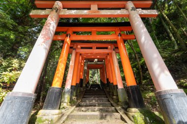 Torii gates de Fushimi Inari tapınak için görüntüleyin. : Kyoto, Japan bulunan meşhur mekanlar