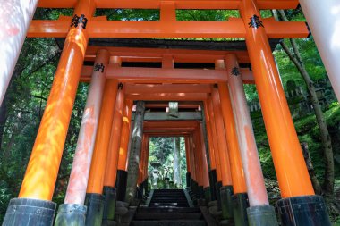 Torii gates de Fushimi Inari tapınak için görüntüleyin. : Kyoto, Japan bulunan meşhur mekanlar