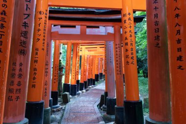 Torii gates de Fushimi Inari tapınak için görüntüleyin. : Kyoto, Japan bulunan meşhur mekanlar