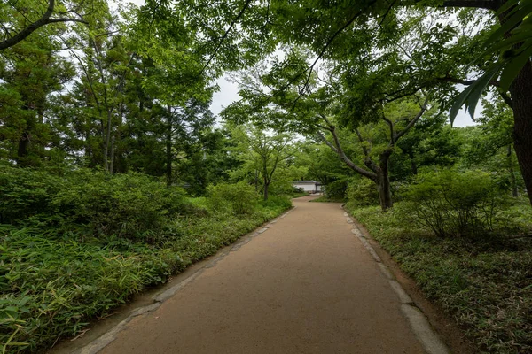Kebun Kokoen Himeji Jepang — Stok Foto
