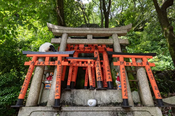 Fushimi Inari Taisha Wanneer Wens Vervuld Werd Torii Die Schreef — Stockfoto