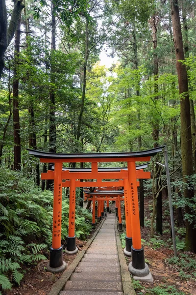 Visa Till Torii Gates Fushimi Inari Shrine Berömda Place Kyoto — Stockfoto