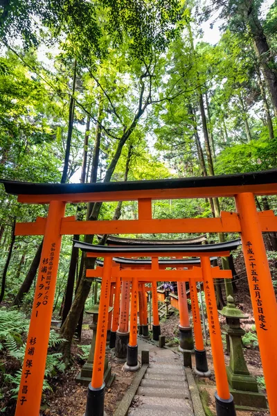 Torii gates de Fushimi Inari tapınak için görüntüleyin. : Kyoto, Japan bulunan meşhur mekanlar