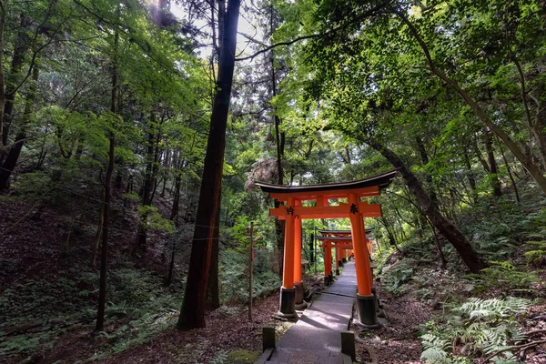 Torii gates de Fushimi Inari tapınak için görüntüleyin. : Kyoto, Japan bulunan meşhur mekanlar