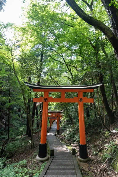 Torii gates de Fushimi Inari tapınak için görüntüleyin. : Kyoto, Japan bulunan meşhur mekanlar