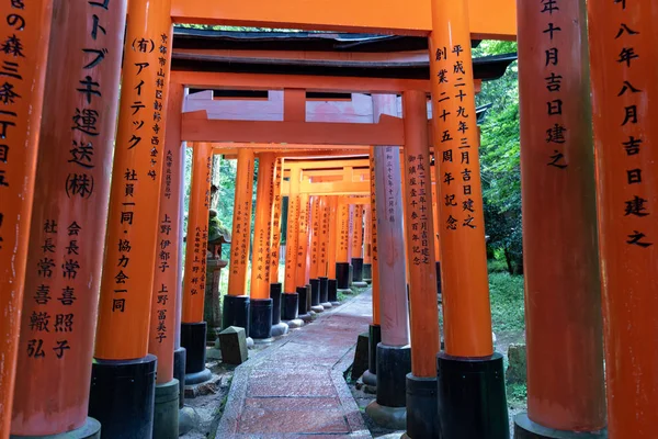 Vista Para Portões Torii Santuário Inari Fushimi Lugar Famoso Kyoto — Fotografia de Stock