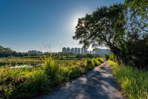 Rural Villages Countryside Hong Kong — Stock Photo, Image