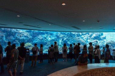 Okinawa, Japan - 27 Ekim 2018: Okinawa Churaumi Akvaryum: Okinawa, Japan, dünyanın en büyük akvaryumlarda biri