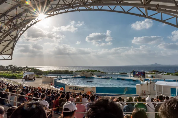世界最大級の水族館の一つで 2018 沖縄県 沖縄美ら海水 — ストック写真