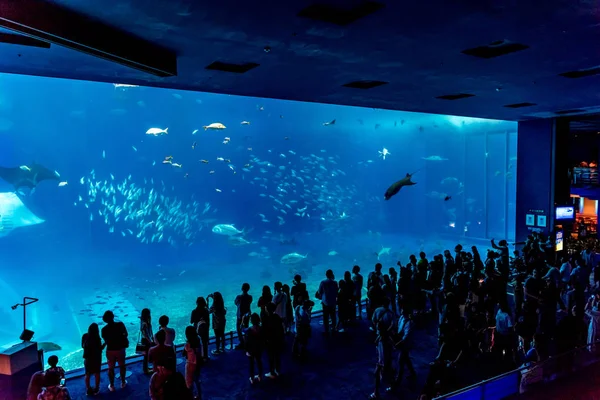 Acuario de Okinawa Churaumi — Foto de Stock