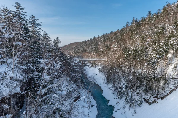 白ひげ滝のある美しい屋外の自然景観 — ストック写真