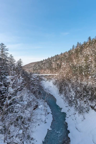 白ひげ滝のある美しい屋外の自然景観 — ストック写真