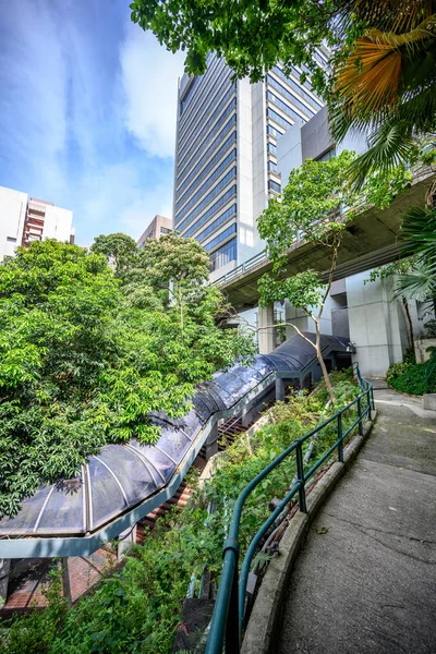 Gamla campus Hong Kong University — Stockfoto