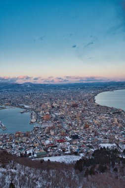 Cityscape görünümünden Mt. Hakodate teleferik