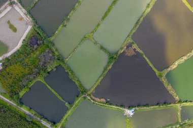 Yeun Long 'un ve yakınlarındaki Yeni Bölgeler Hong Kong' un havadan görüntüsü.