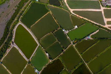 Yeun Long 'un ve yakınlarındaki Yeni Bölgeler Hong Kong' un havadan görüntüsü.
