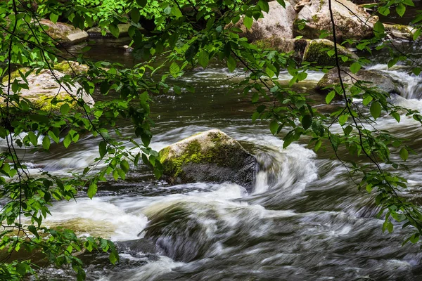 Paisagem Com Rio Bode Área Harz Alemanha — Fotografia de Stock