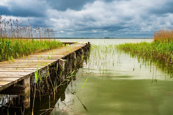 Atterraggio Lago Con Canne — Foto Stock