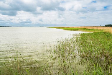 Göl sazlık ve bulutlar Born, Almanya.