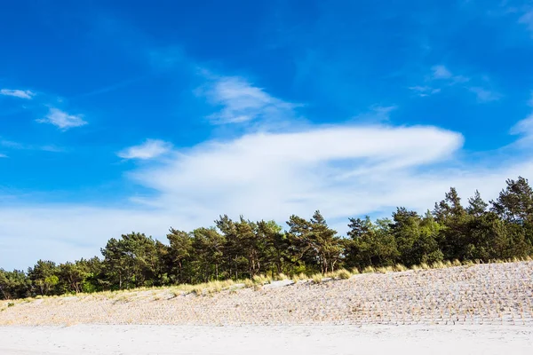 Dune Shore Baltic Sea Prerow Germany — Stock Photo, Image