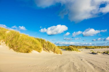 Kuzey Denizi adasındaki kum tepeleri Amrum, Almanya.