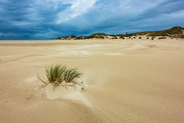 Dune Sull Isola Del Mare Del Nord Amrum Germania — Foto Stock
