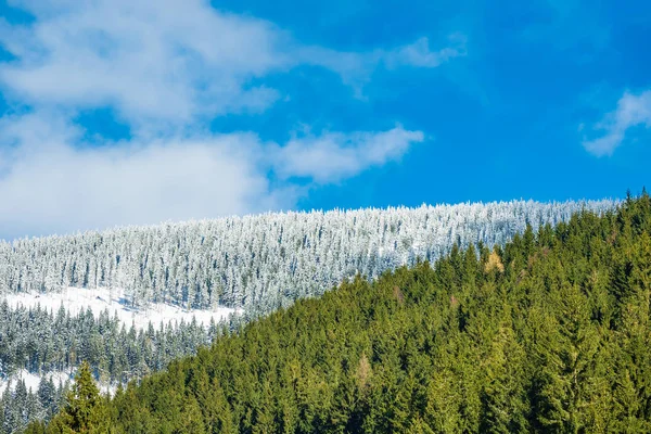 Hiver Avec Neige Dans Les Monts Géants République Tchèque — Photo